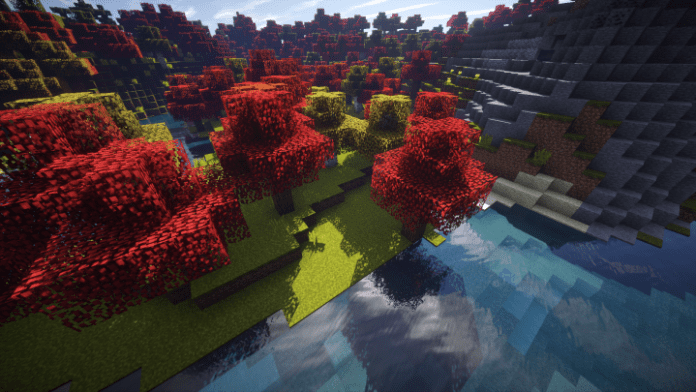 AUTUMN1