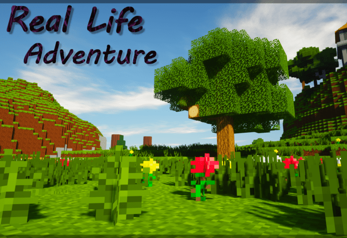 Real Life Adventure 1.14.4 Real Life Adventure 1.14.4