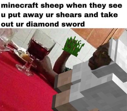 Minecraft Meme - Sheep and Shears