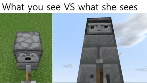 Minecraft Meme - what she sees