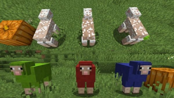 Creature Variety for 1.17.1 - Random Mobs 1.17.1 - 2