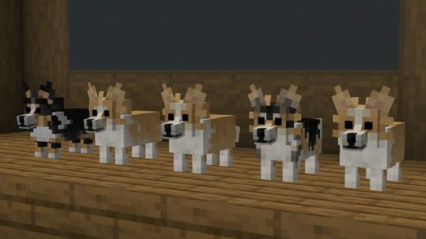 Better Dogs in Minecraft 1.18.1 Resource Pack - 2