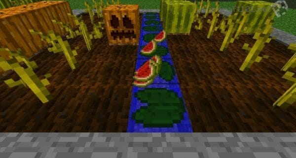 How to Grow Pumpkins in Minecraft - 2