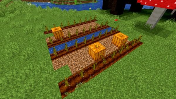 How to Grow Pumpkins in Minecraft - 4