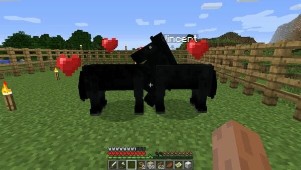 What do Horses Eat in Minecraft - 4