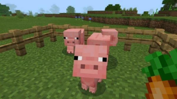 What do Pigs Eat in Minecraft - 1